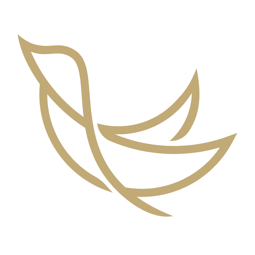 logo zoizo